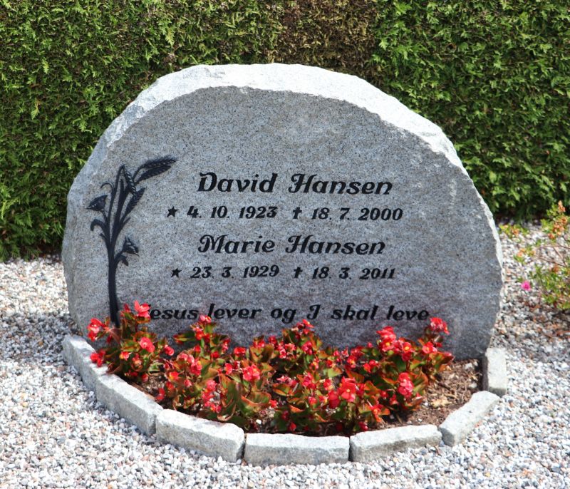 David Hansen.JPG